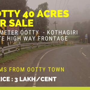 40 Acres Prime Tea Estate for Sale Near Ooty