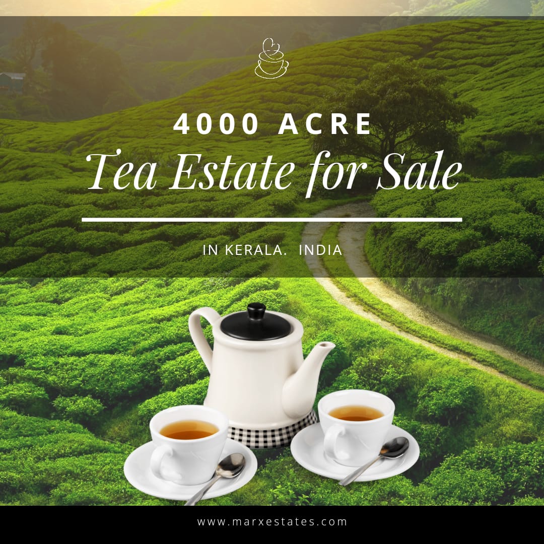 Tea Estate and Factory in For Sale Kerala,  Wayanad