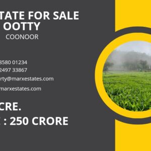 Expansive 570-Acre Tea Estate in Coonoor, Near Ooty