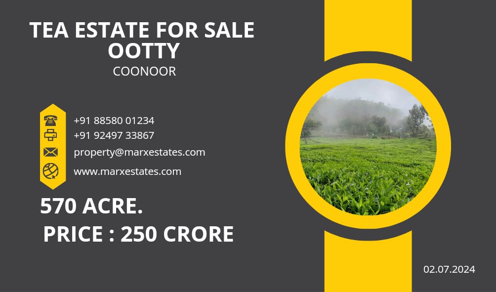 Expansive 570-Acre Tea Estate in Coonoor, Near Ooty