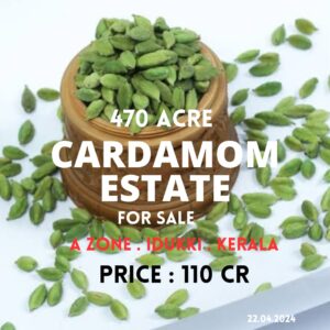 470-Acre Cardamom Plantation Estate for Sale Near Kumily, Idukki