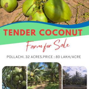 32 Acres Coconut Farm for Sale Near Pollachi, Tamil Nadu