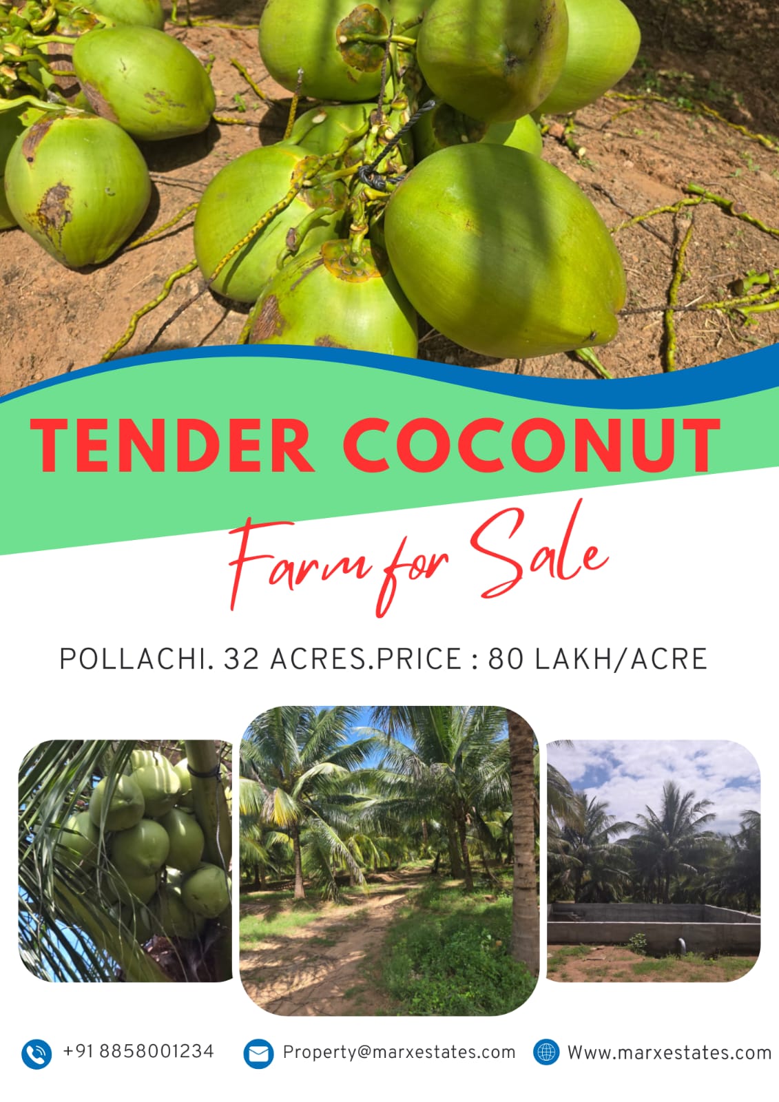 32 Acres Coconut Farm for Sale Near Pollachi, Tamil Nadu