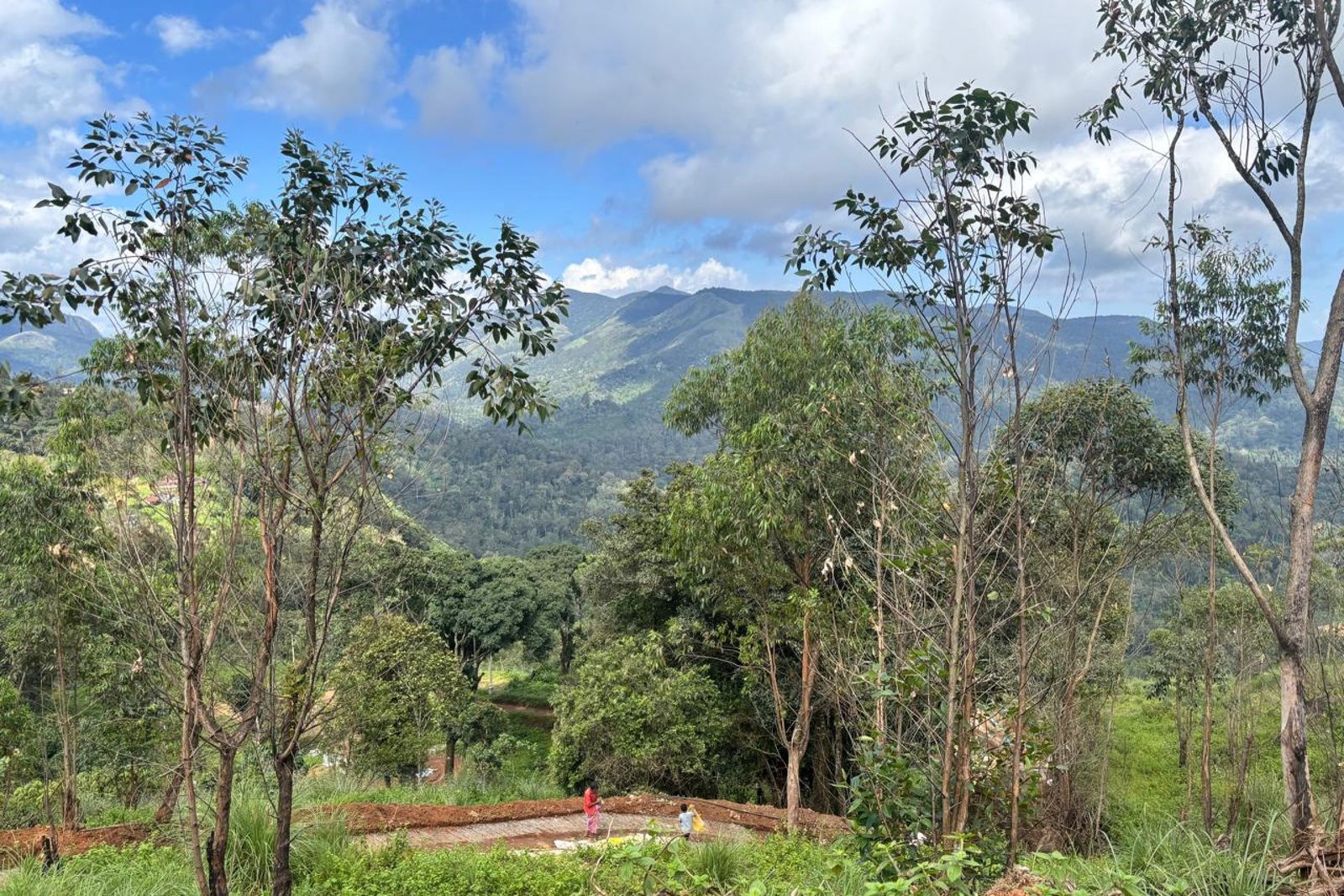 Property for Sale Munnar 1