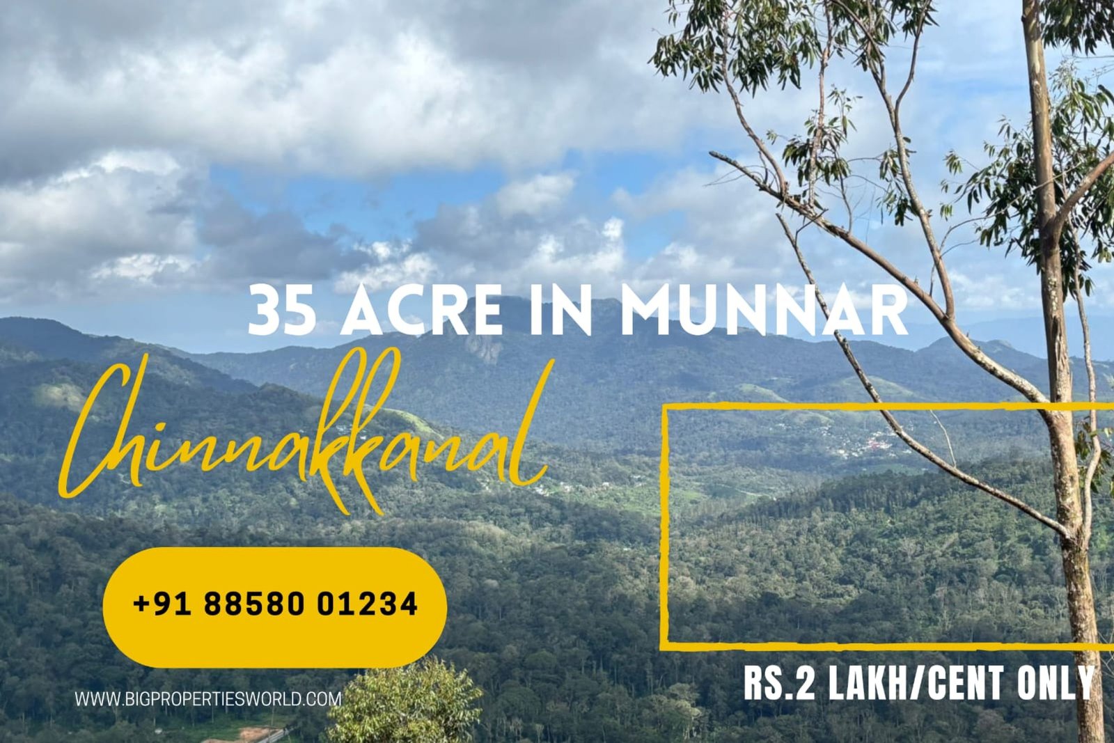 Property for Sale Munnar 32 Acres
